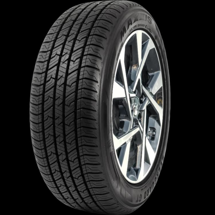 Maxxis ERGT Everguard GT