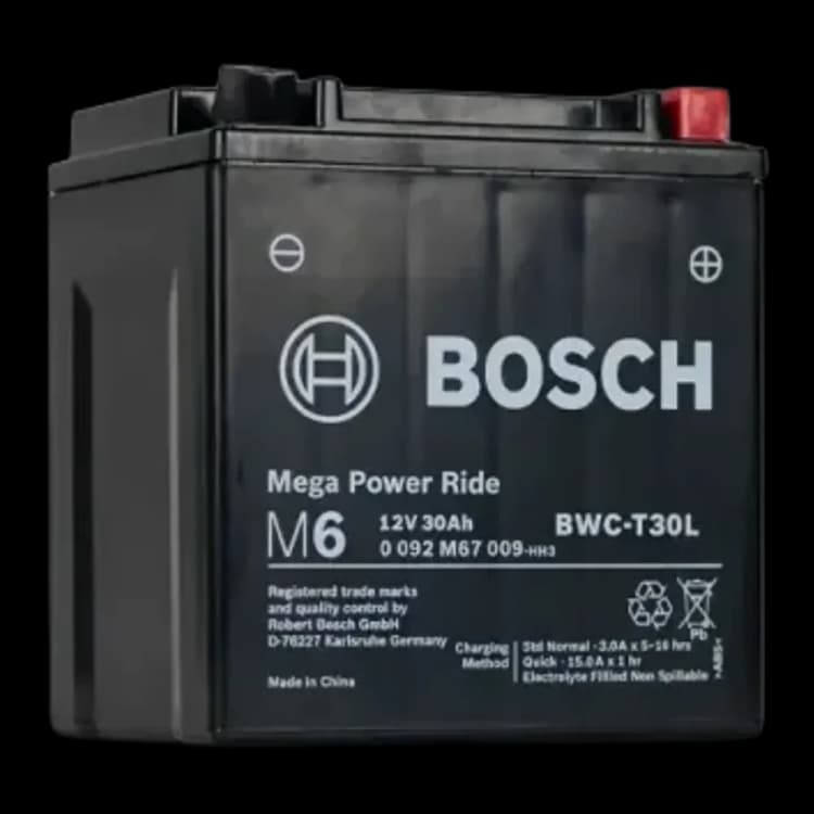 Bosch RBWC-T30L