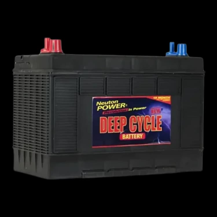 Neuton Power M31