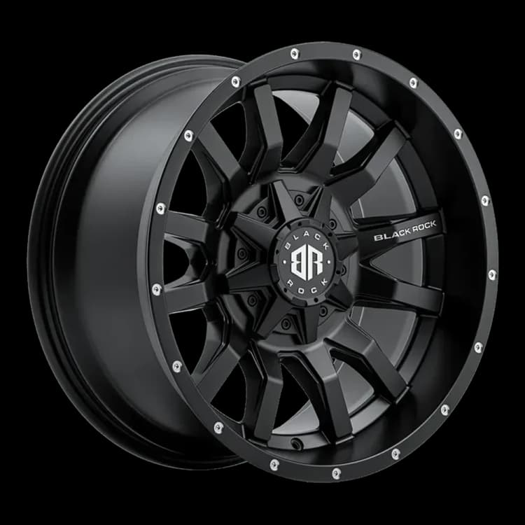 Black Rock Predator